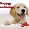 Personalised-A5-Birthday-Card-D1-B00Y1CSN2A