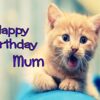 Personalised-A5-Birthday-Card-D2-B00Y32JL4W