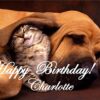 Personalised-A5-Birthday-Card-D3-B00Y32L2XU