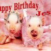 Personalised-A5-Birthday-Card-D7-B00Y35IU2I