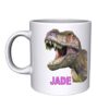 Personalised-Dinosaur-Mug-D3-B07KNDZ5WQ